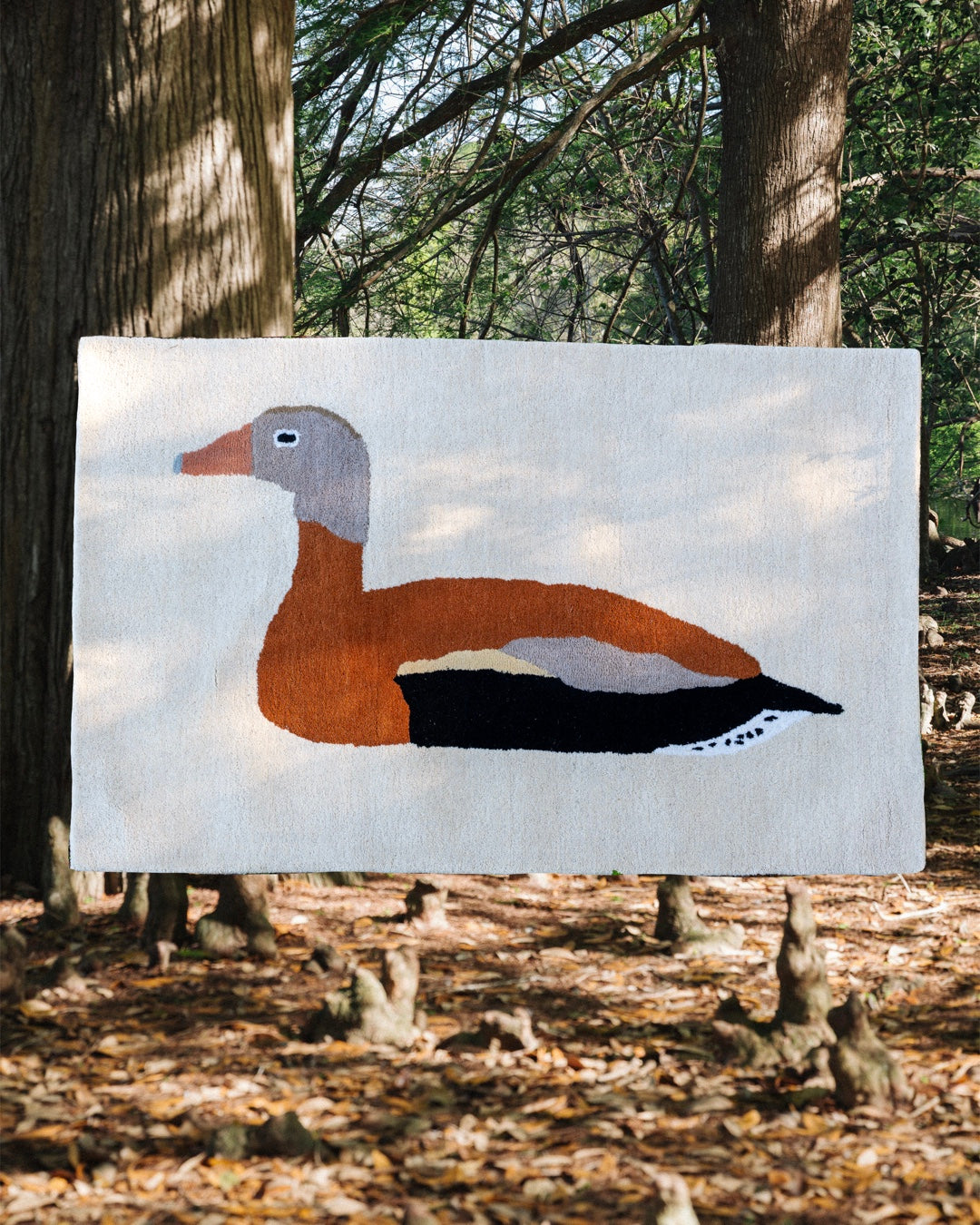 Black Bellied Whistling Duck Rug