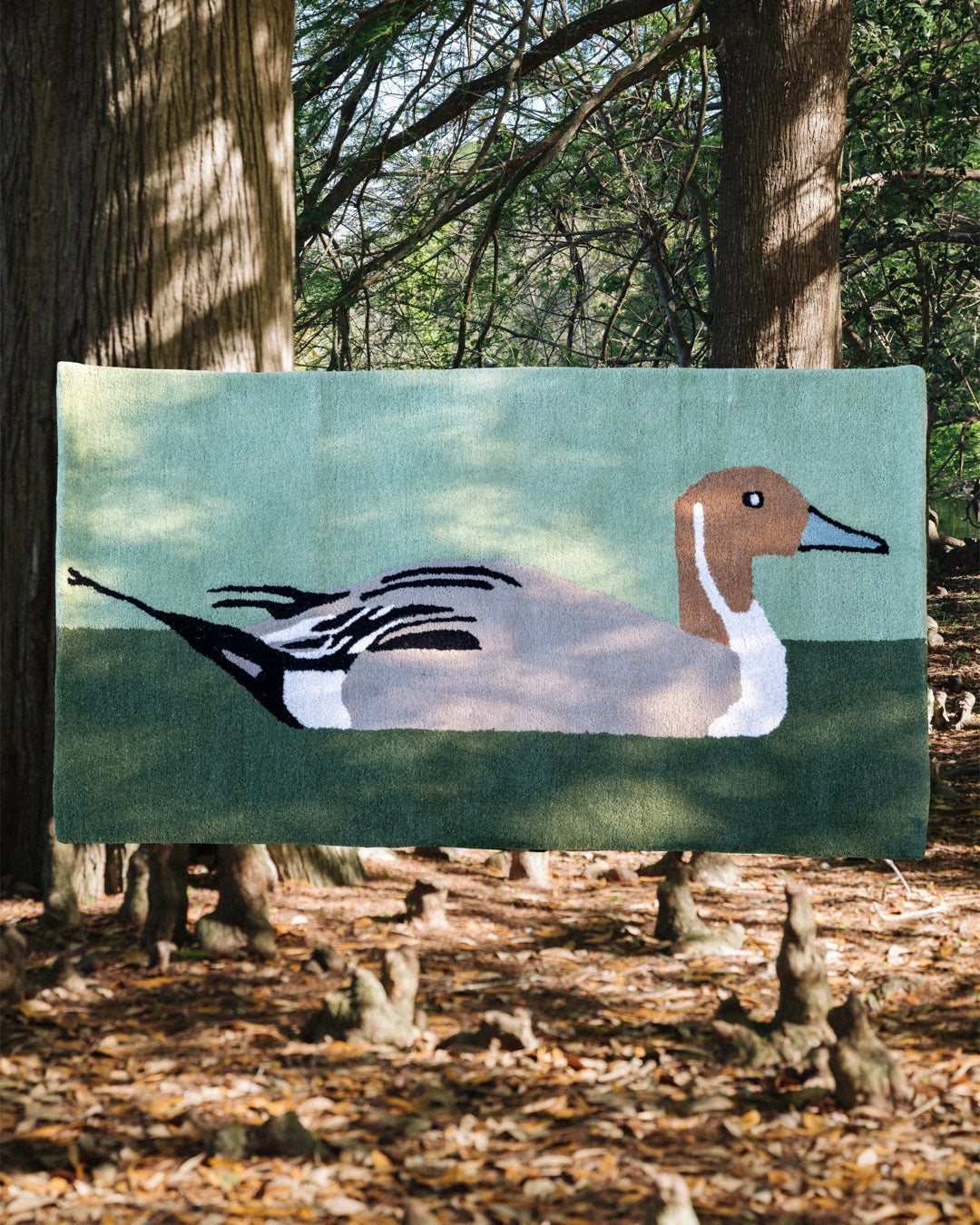 Northern Pintail Duck Rug