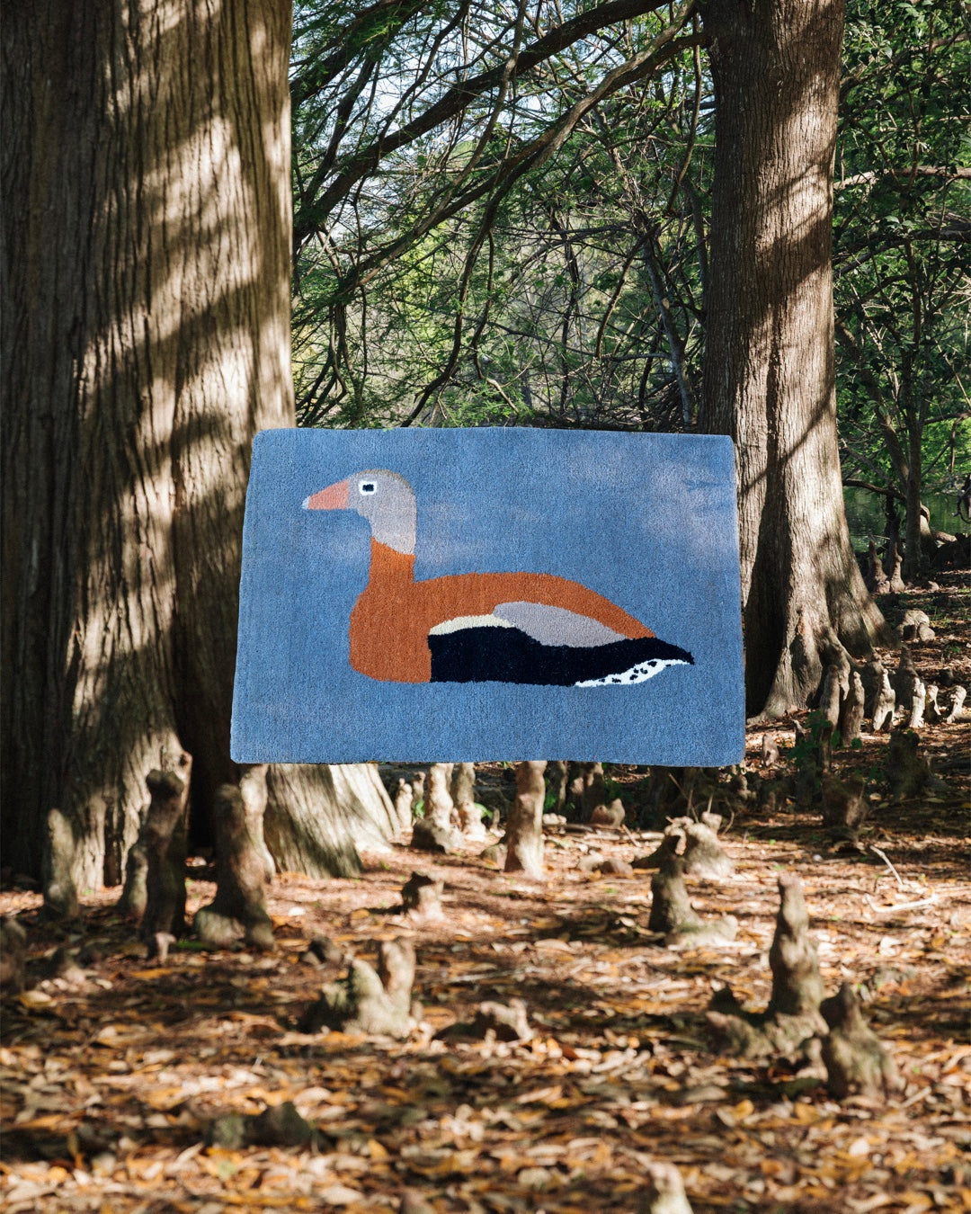 Black Bellied Whistling Duck Rug