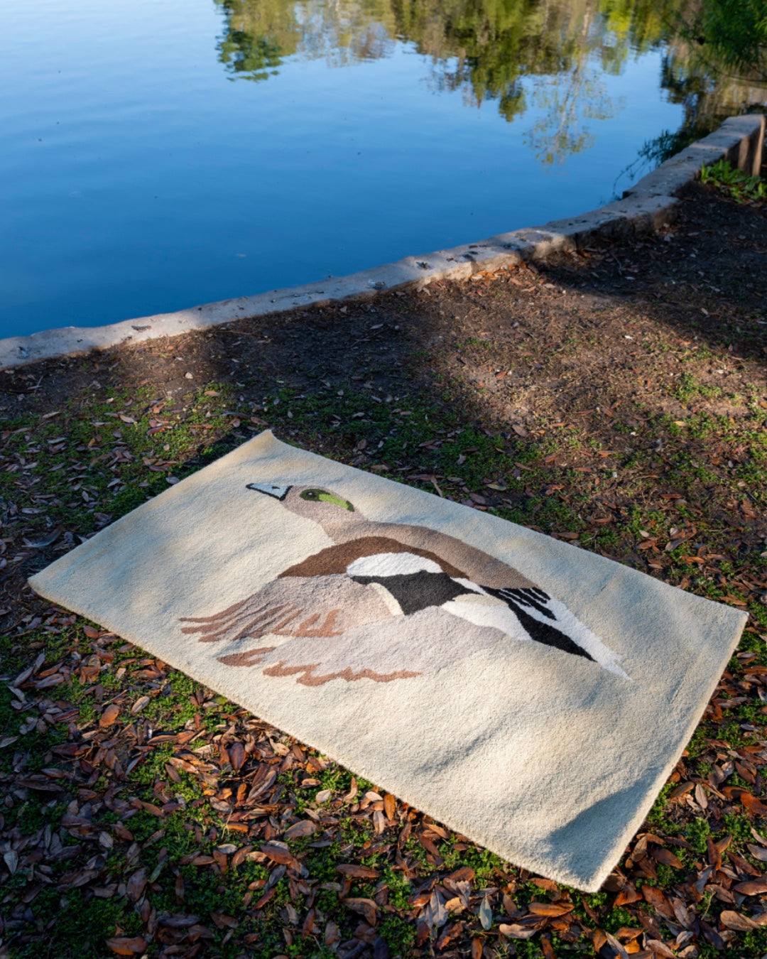American Wigeon Rug Wholesale