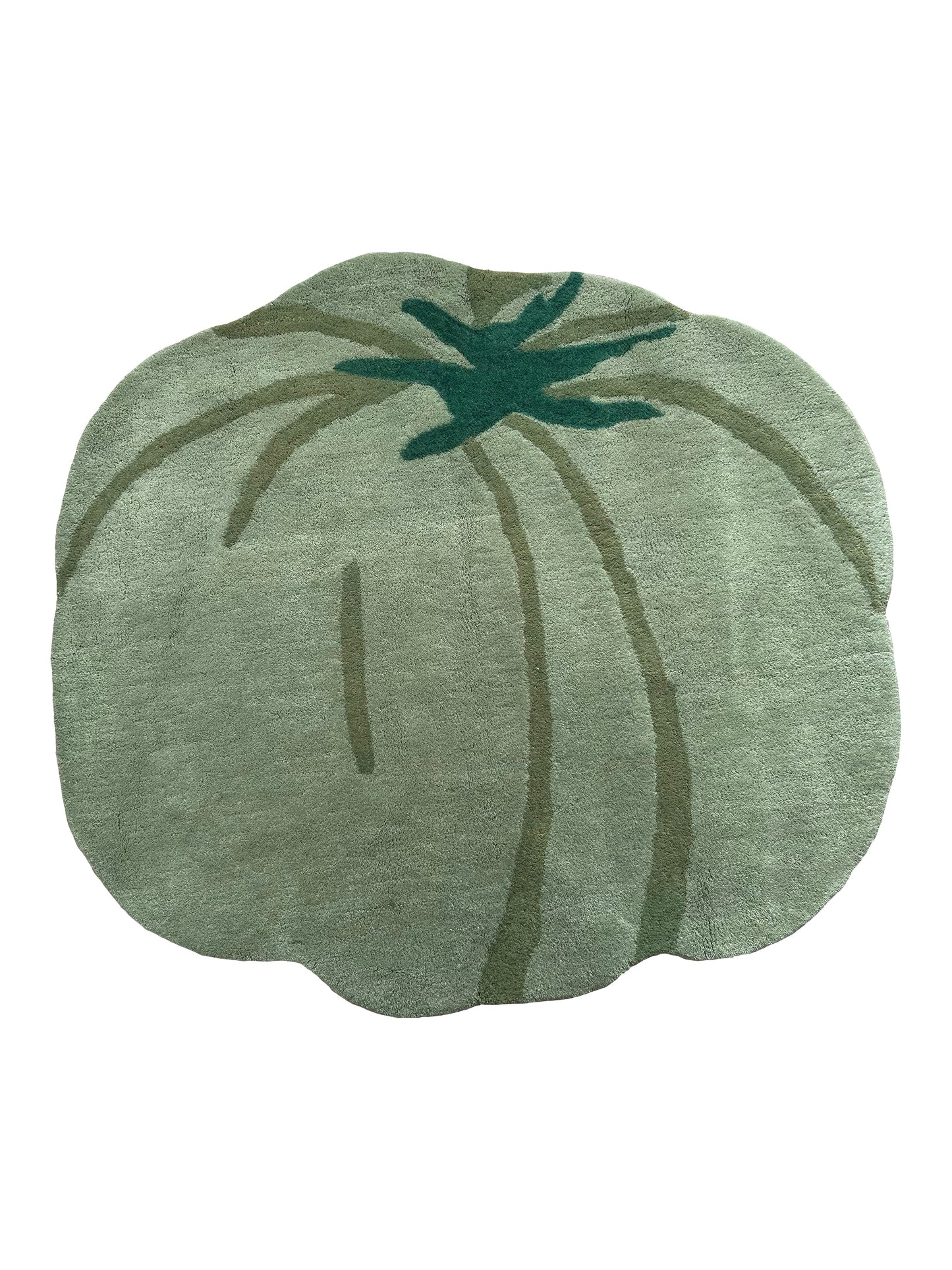 One of a Kind Tomato Rug #2