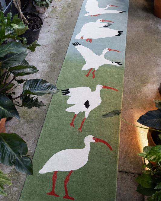 Ibis Runner image 0