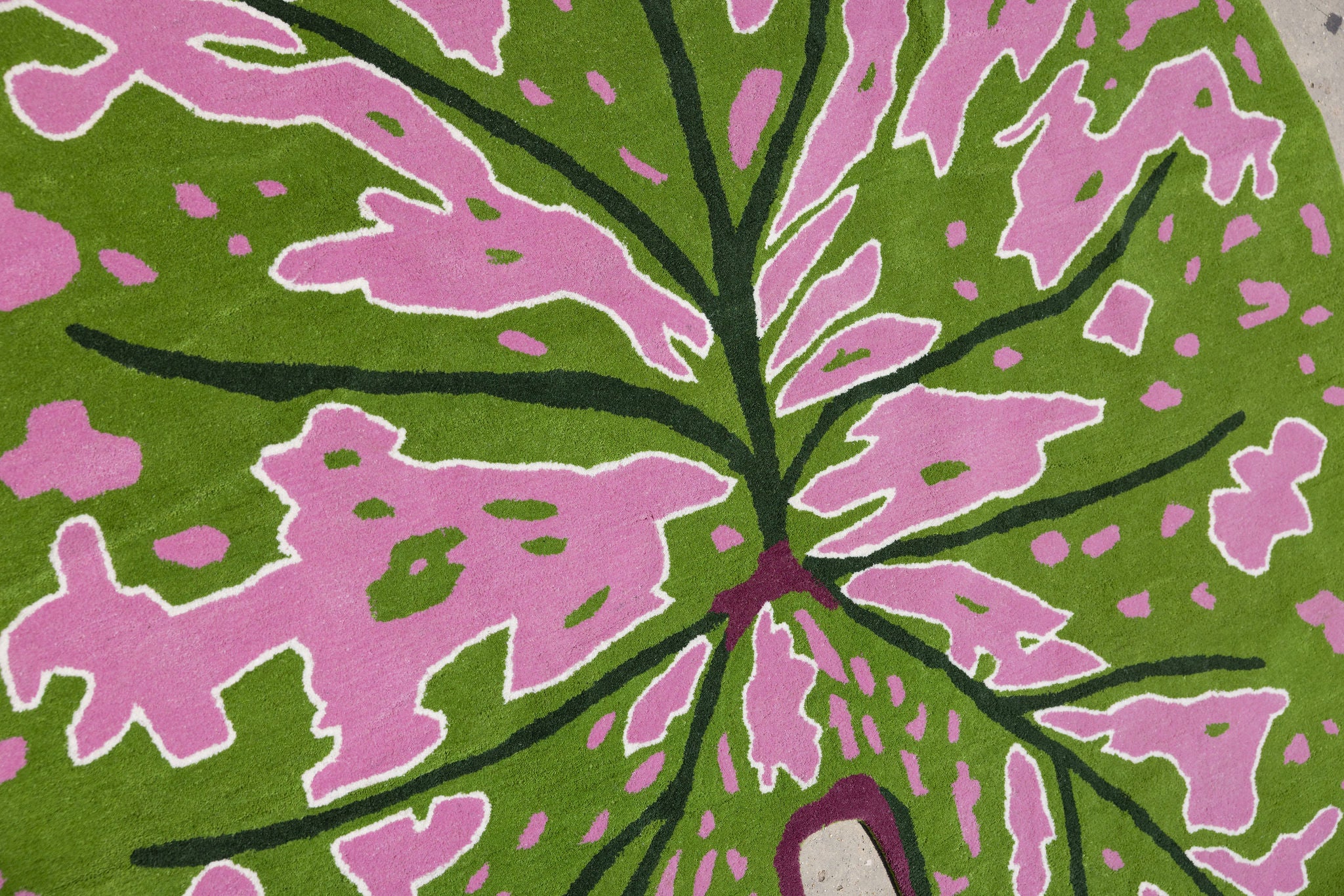 Leaf Rug 3 image 2