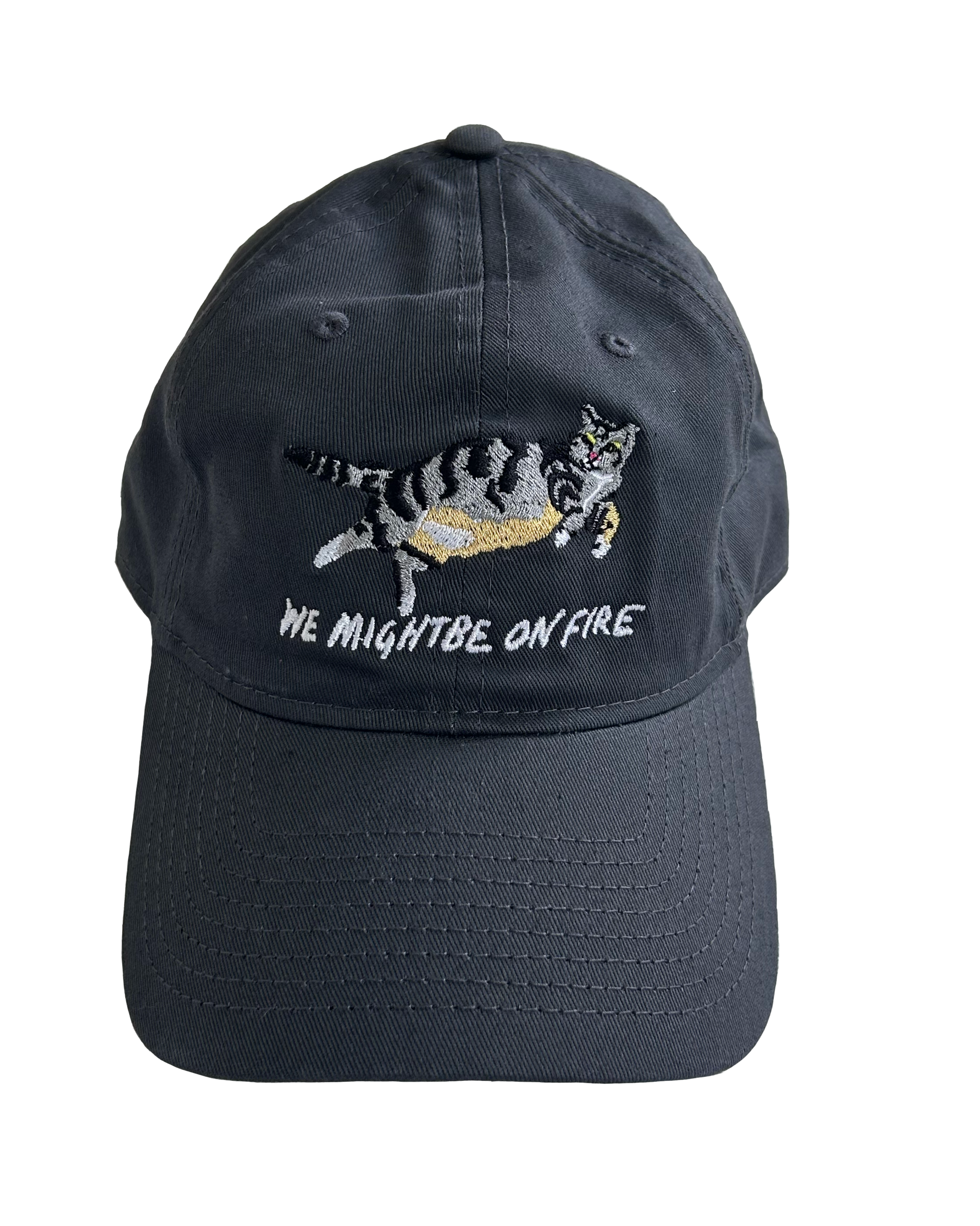 Cat Hat PRE ORDER image 0