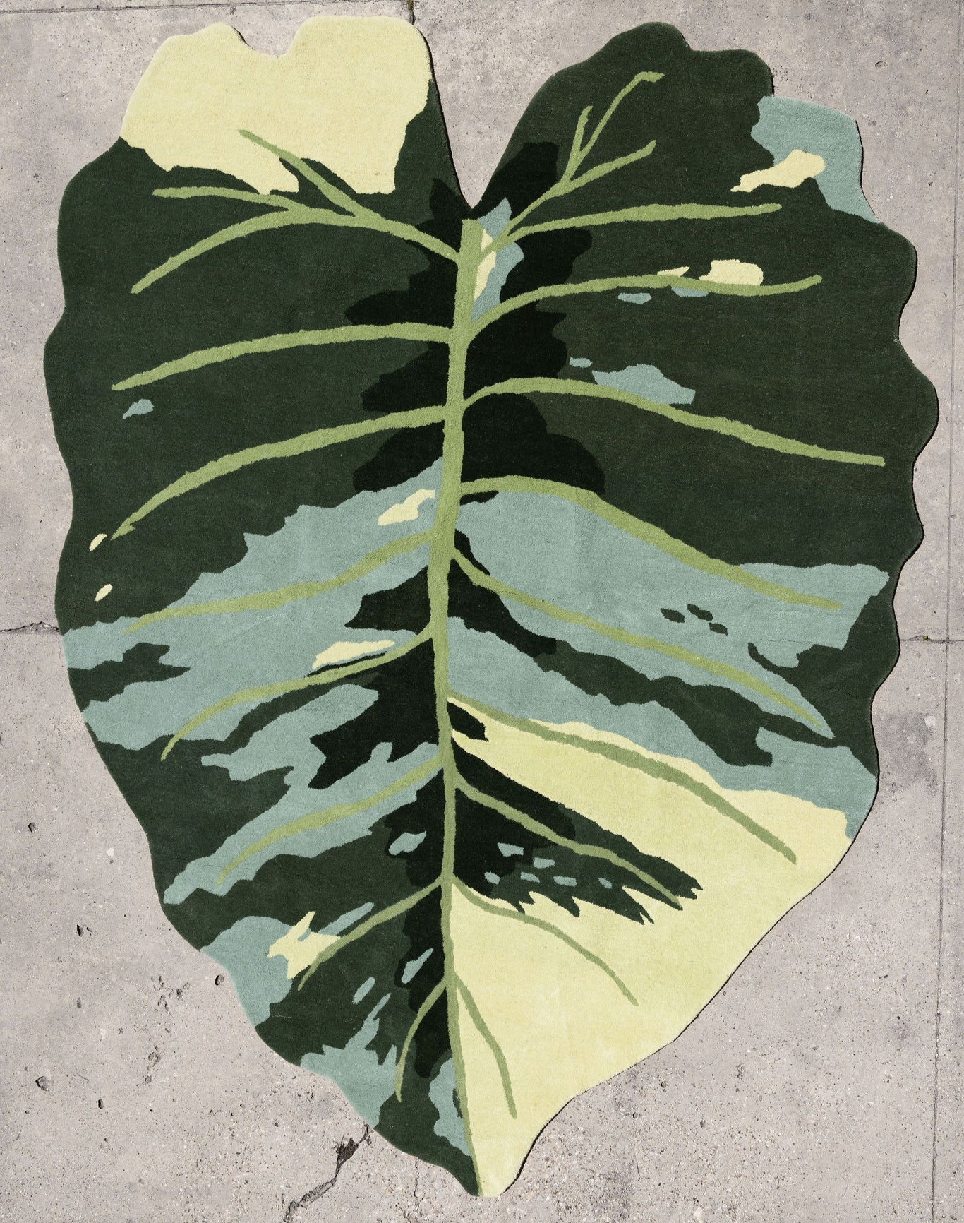 Leaf Rug 1 image 0
