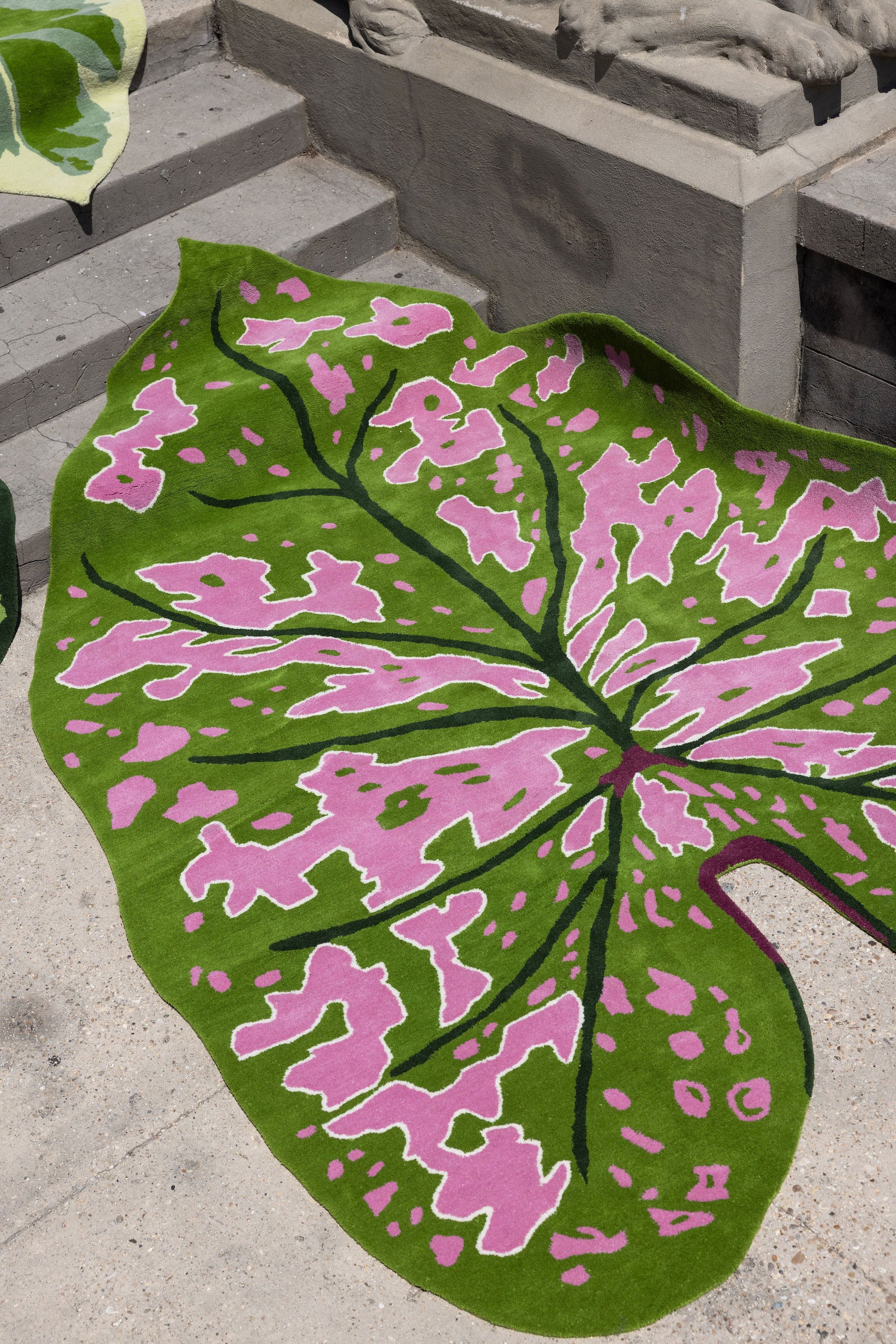 Leaf Rug 3 image 5