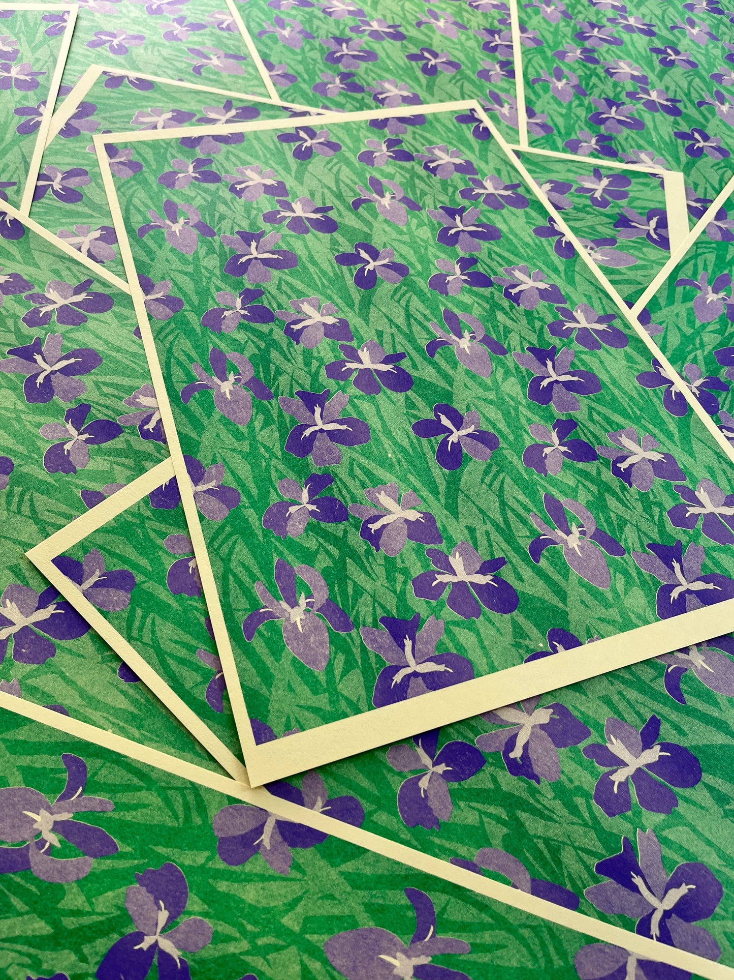 Louisiana Iris Print image 2