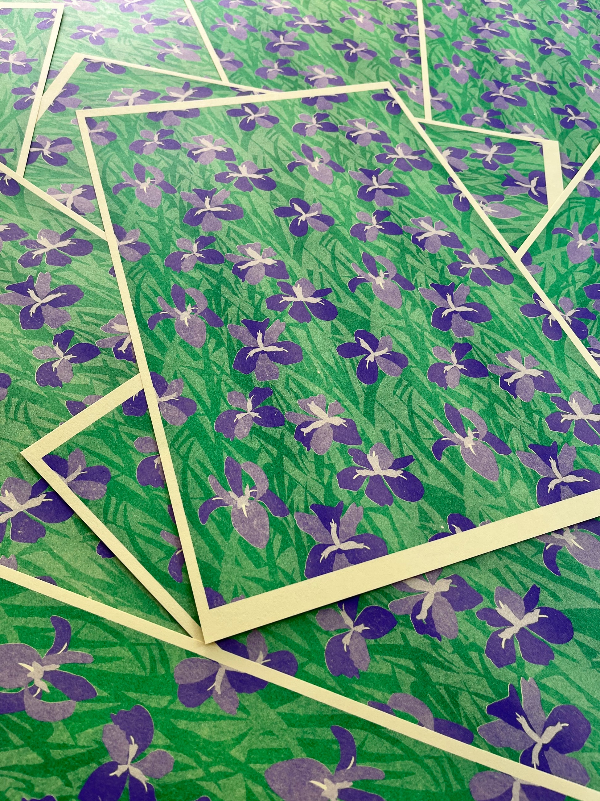 Louisiana Iris Print image 2