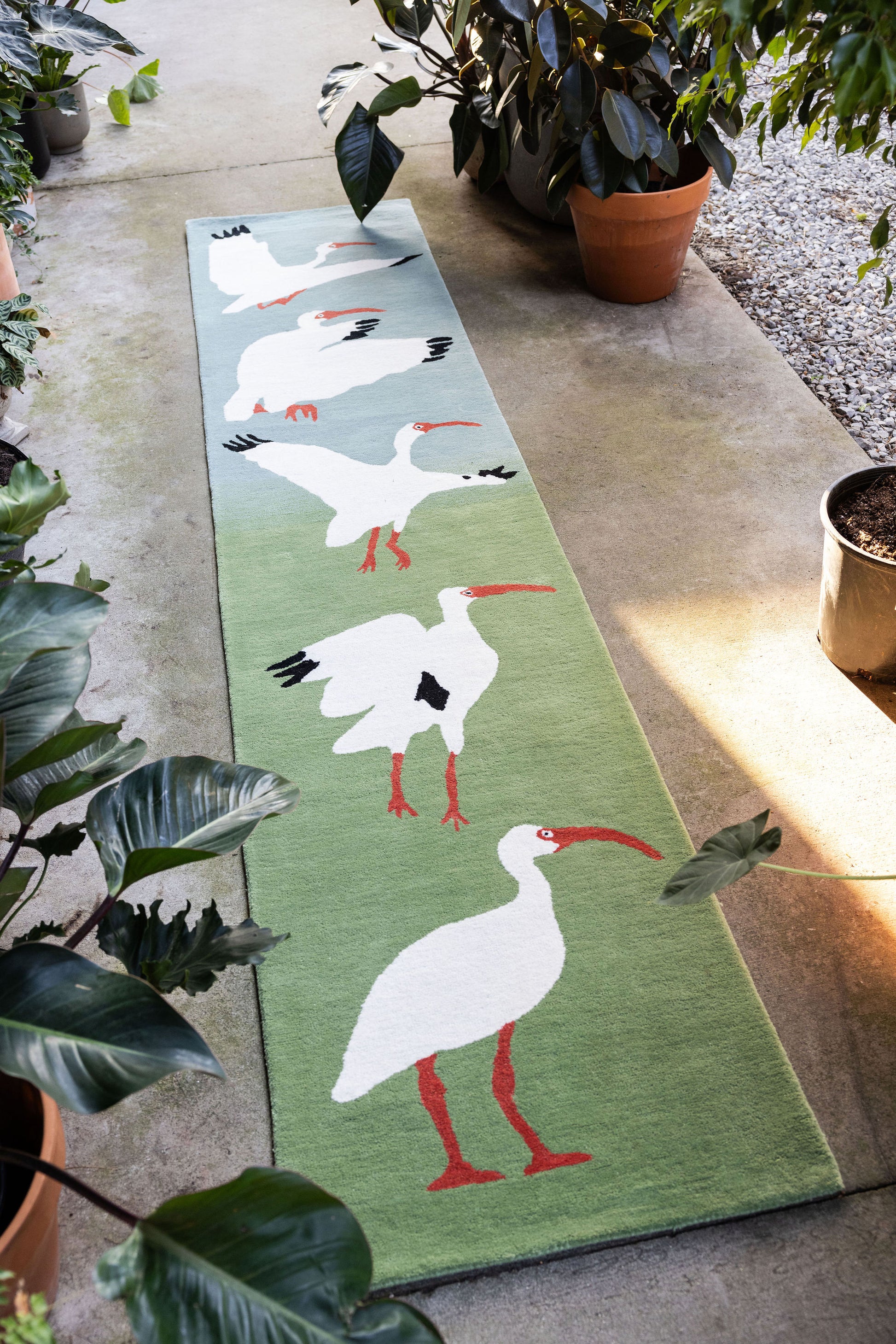 Ibis Runner image 3